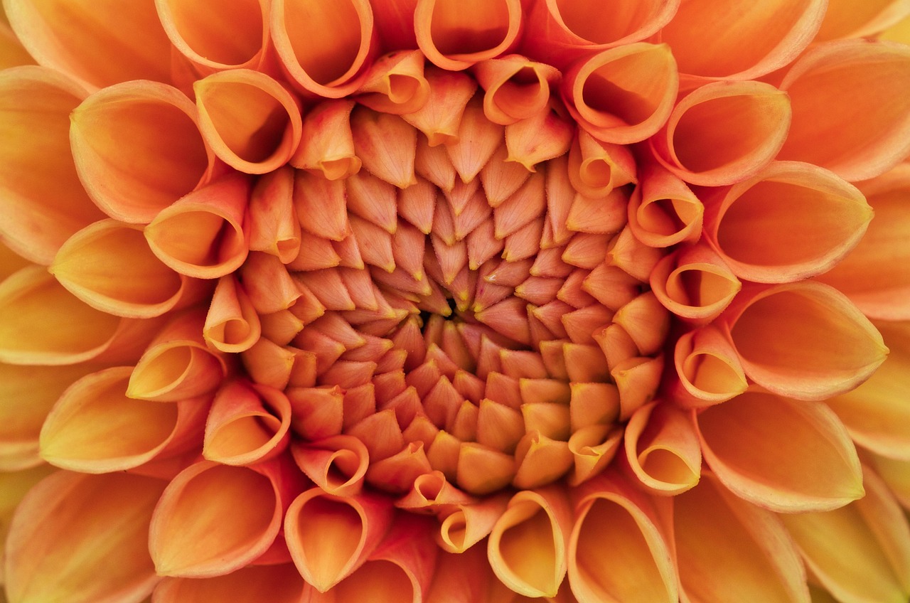 Business IT Solutions in Woburn, MA 1 Business IT Solutions in Woburn | On-site Business IT Solutions | Techs in a Sec