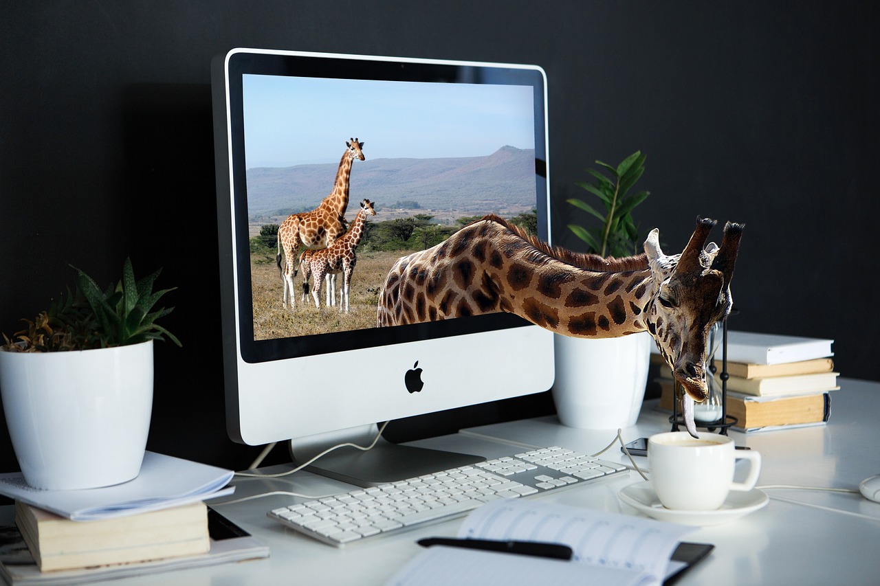 IT Staffing Services in Lewisville, TX