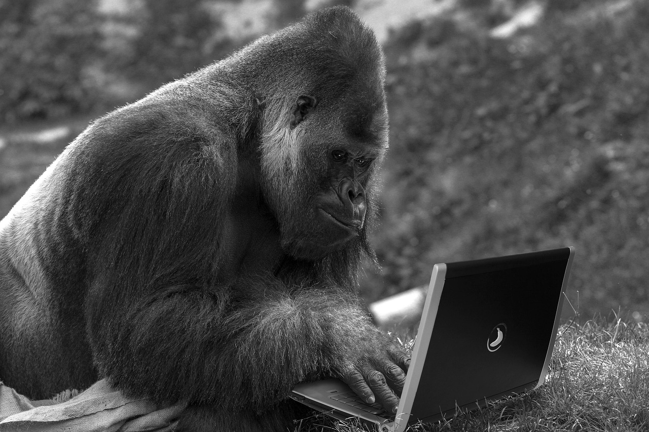 Temporary IT Technicians in San Dimas, CA